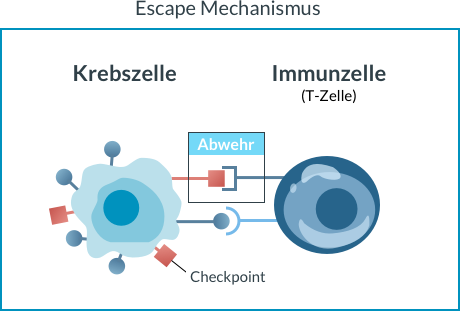 Immuntherapie mit Antikörpern: Escape Mechanismus