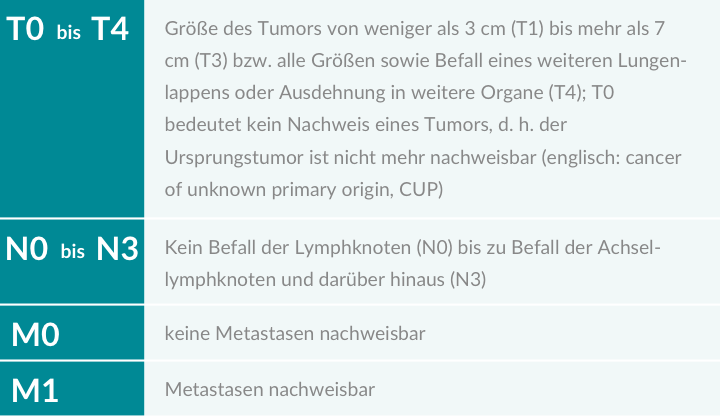 TNM-Kriterien zur Bestimmung des Tumorstadiums